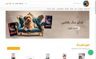 Zaringoosh.com Screenshot 2024-05-27 10:31:45