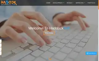 Haddocksoft.com Screenshot 2024-06-16 01:29:39