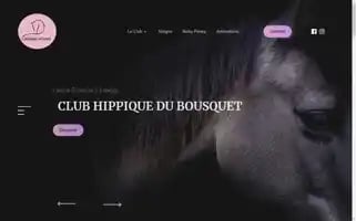 Clubhippique-dubousquet.com Screenshot 2024-06-15 17:00:35