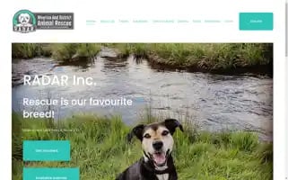 Radarescue.org Screenshot 2024-06-29 00:06:57