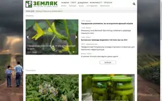 Zemliak.com Screenshot 2024-07-09 18:29:33