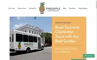 Pineappletourgroup.com Screenshot 2024-04-17 04:35:18