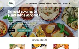 Traivegan.com Screenshot 2024-06-30 16:51:00