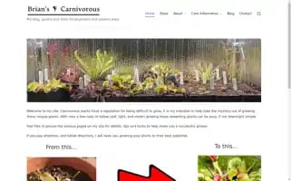 Brianscarnivorous.com Screenshot 2024-05-17 02:44:35