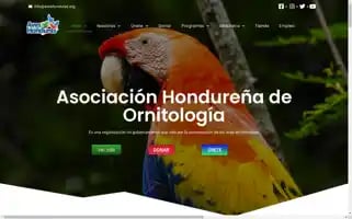 Aveshonduras.org Screenshot 2024-06-16 01:49:42