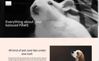 Petapaw.com Screenshot 2024-04-27 11:18:42