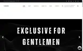 Tuneroofficial.com Screenshot 2024-05-27 00:44:34