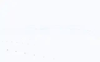 Makineogrenmesi.com Screenshot 2024-07-08 10:48:38