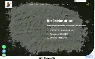 Snowwp.com Screenshot 2024-06-14 17:52:35
