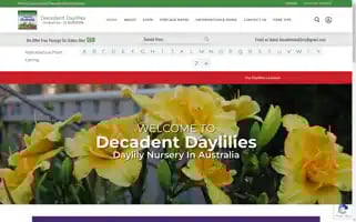 Decadentdaylilies.com Screenshot 2024-06-12 04:06:39