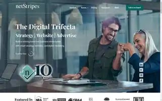 Netstripes.com Screenshot 2024-04-15 21:04:37