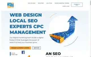 Nozakconsulting.com Screenshot 2024-07-09 05:17:18