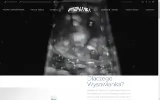 Wysowianka.pl Screenshot 2024-07-04 08:04:07