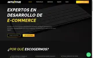 Intuitiveagencia.com Screenshot 2024-06-15 00:30:47