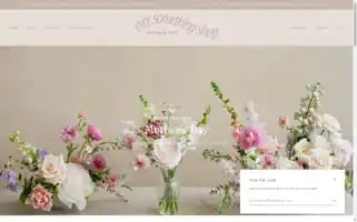 Eversomethingshop.com Screenshot 2024-04-27 10:51:21