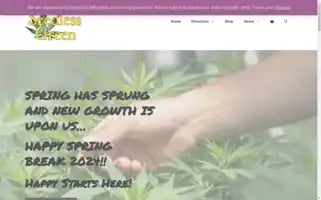 Seedlessgreen.com Screenshot 2024-06-14 00:44:10