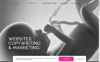 Thebabycries.be Screenshot 2024-06-15 05:39:53