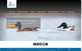 Birdlife.at Screenshot 2024-06-30 13:07:39