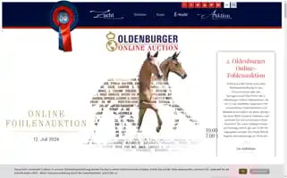 Oldenburger-pferde.com Screenshot 2024-06-30 19:15:26