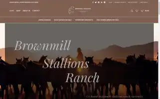Brownmilllstallions.com Screenshot 2024-05-18 11:17:42