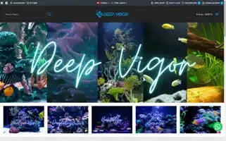 Deepvigor.com Screenshot 2024-05-24 21:10:39