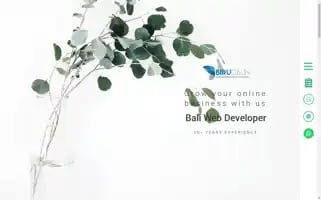 Birudaun.net Screenshot 2024-06-16 11:32:55