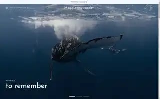 Maggiemaywander.com Screenshot 2024-04-25 21:42:22