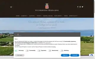 Guerrieri-rizzardi.it Screenshot 2024-06-12 16:00:14
