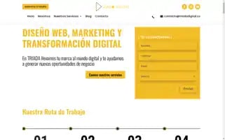 Triadadigital.co Screenshot 2024-06-26 20:37:23