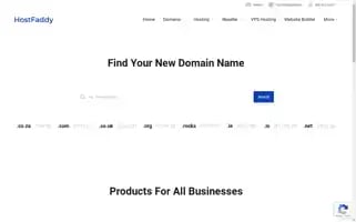 Hostfaddy.com Screenshot 2024-06-14 22:19:01