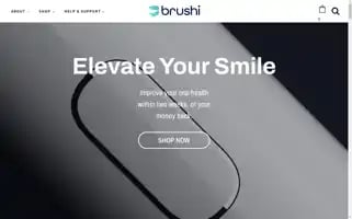 Brushi.net Screenshot 2024-06-28 09:04:35