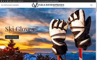 Vhsgloves.com Screenshot 2024-05-16 23:17:59