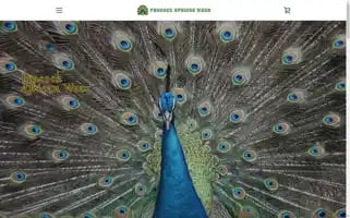 Peacockafricanwear.com Screenshot 2024-04-26 17:57:44