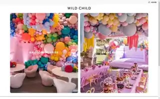 Wildchildparty.com Screenshot 2024-05-04 19:37:53