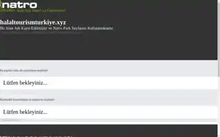 Halaltourismturkiye.xyz Screenshot 2024-04-12 07:37:17