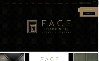 Facetoronto.com Screenshot 2024-05-09 16:01:43
