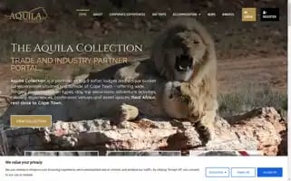 Aquilacollection.com Screenshot 2024-07-01 00:18:49