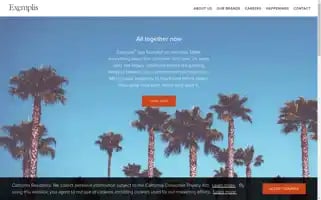 Exemplis.com Screenshot 2024-07-07 00:34:00