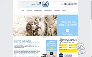 New-york-carpet-cleaning.com Screenshot 2024-06-12 23:36:38
