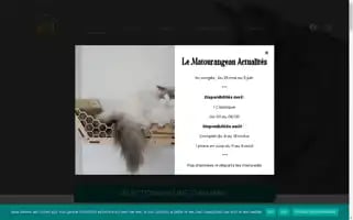 Lematourangeau.fr Screenshot 2024-04-15 10:40:43