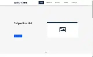 Stripwillow.co.uk Screenshot 2024-04-26 16:12:03