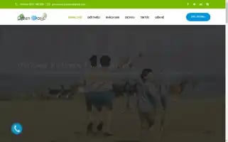 Greenoasishotel.vn Screenshot 2024-04-15 14:13:26