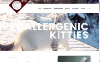 Hypoallergenicsiberiankitties.com Screenshot 2024-05-24 17:59:06