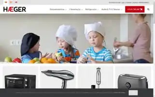 Haegergroup.com Screenshot 2024-06-18 17:31:27