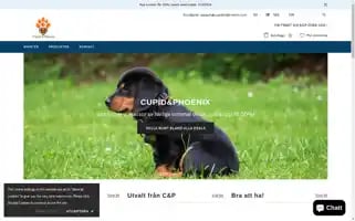 Cupidandphoenix.com Screenshot 2024-05-03 21:38:57