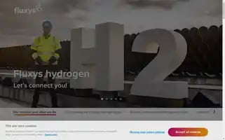 Fluxys.com Screenshot 2024-07-01 09:23:27