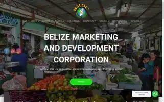 Bmdc.bz Screenshot 2024-06-26 13:43:40