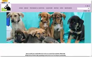 Toledospetbullproject.com Screenshot 2024-06-12 14:47:42