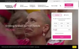 Komen.org Screenshot 2024-05-12 15:22:45