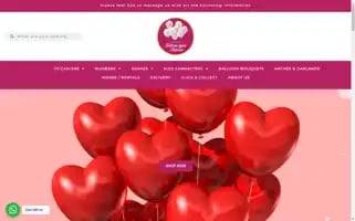Balloonbybeeandover.com Screenshot 2024-05-22 22:19:00